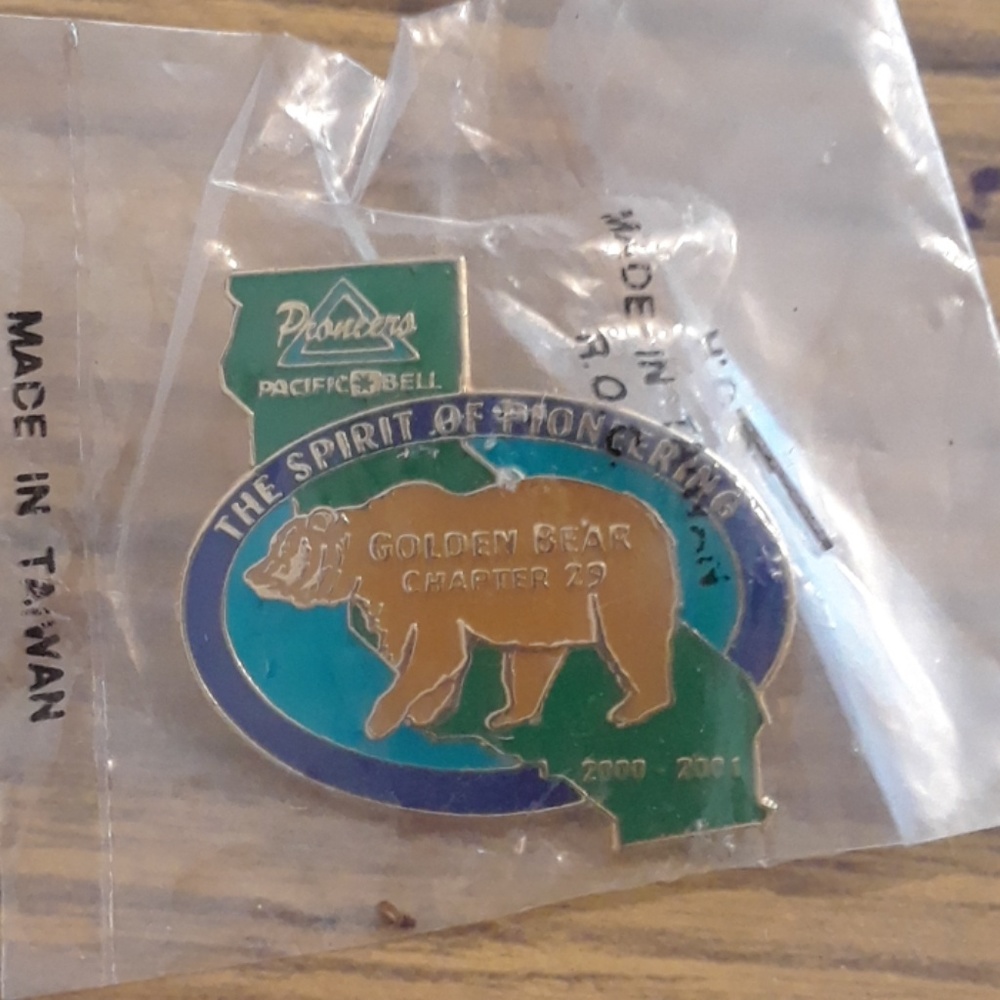 Pin
